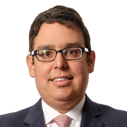 Adolfo_Wegmann_250x250