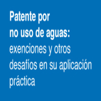 Ciclo del Agua: Patente por no uso de aguas: exenciones y otros desafíos en su aplicación práctica