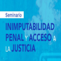 Seminario Inimputabilidad penal y acceso a la justicia