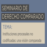 Seminario de Derecho Comparado: Instituciones procesales no codificadas. Una visión comparada