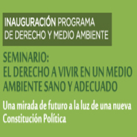 Seminario: El derecho a vivir en un medio ambiente sano y adecuado. Una mirada de futuro a la luz de una nueva Constitución Política