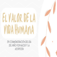 I Encuentro de la Red por una Cultura de la Vida: El valor de la vida humana