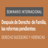 Seminario Internacional: Después de Derecho de Familia, las reformas pendientes. Derecho sucesorio y herencias