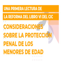 Seminario: Una Primera Lectura de la Reforma del Libro VI del CIC. Consideraciones sobre la Protección Penal de los Menores de Edad