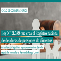 Ciclo de conversatorios: Actualización legislativa y jurisprudencial en derecho registral e inmobiliario. Ley N° 21.389 que crea el Registro Nacional de Deudores de Pensiones de Alimentos