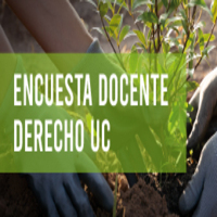 Plazo final: Encuesta Docente primer semestre 2025