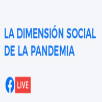 Seminario La Dimensión Social de la Pandemia
