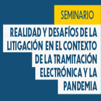 Realidad y Desafíos de la Litigación en el Contexto de la Tramitación Electrónica y la Pandemia
