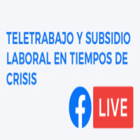 Charla Virtual: Teletrabajo y Subsidio Laboral en Tiempos de Crisis