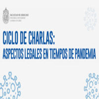 VI Sesión Ciclo de Charlas: Aspectos Legales en Tiempos de Pandemia. Protección Social y Beneficios Estatales