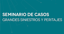 Seminario de casos: Grandes siniestros y peritajes