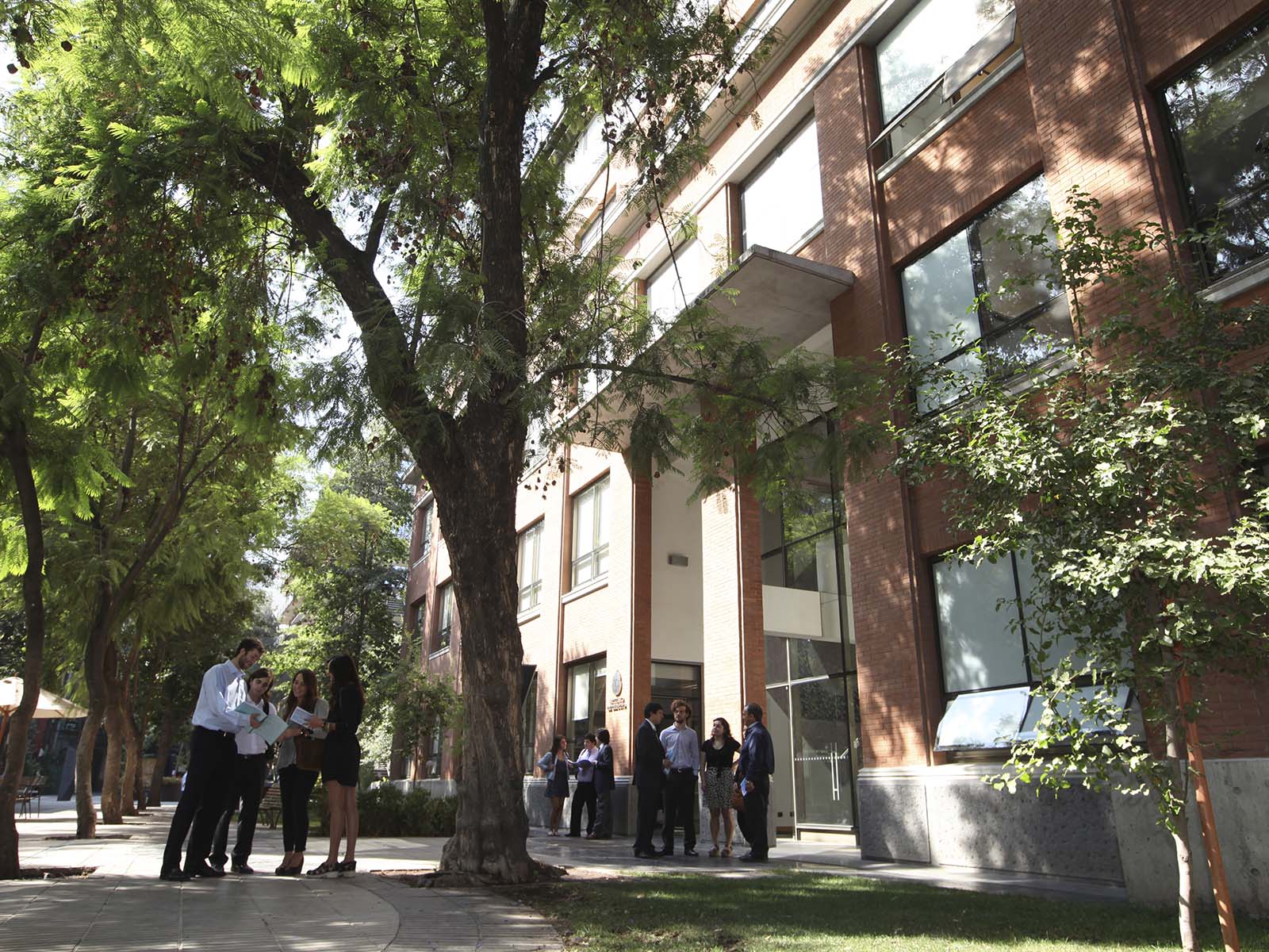 planta adjunta copia