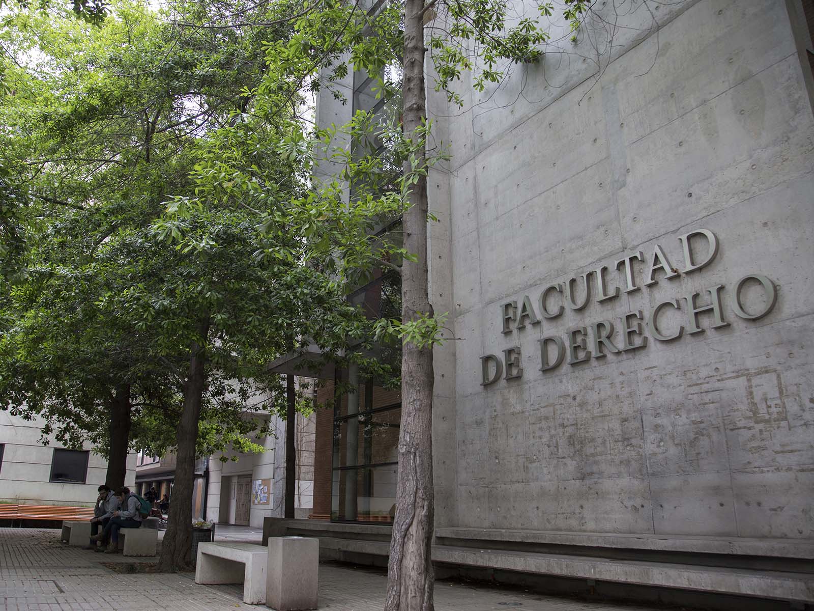 planta ordinaria copia