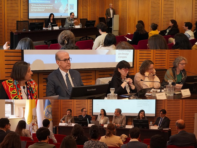 Collage de expertos discutiendo sobre derecho internacional contemporáneo.